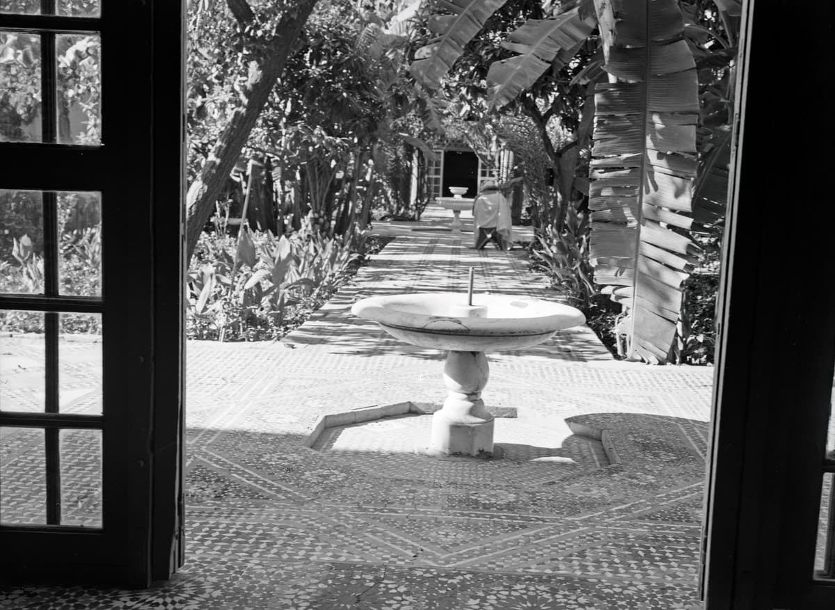 Vue en noir et blanc d'un jardin par une porte vitrée ouverte : vasque de marbre sur un sol de mosaïque, bananiers et allée.