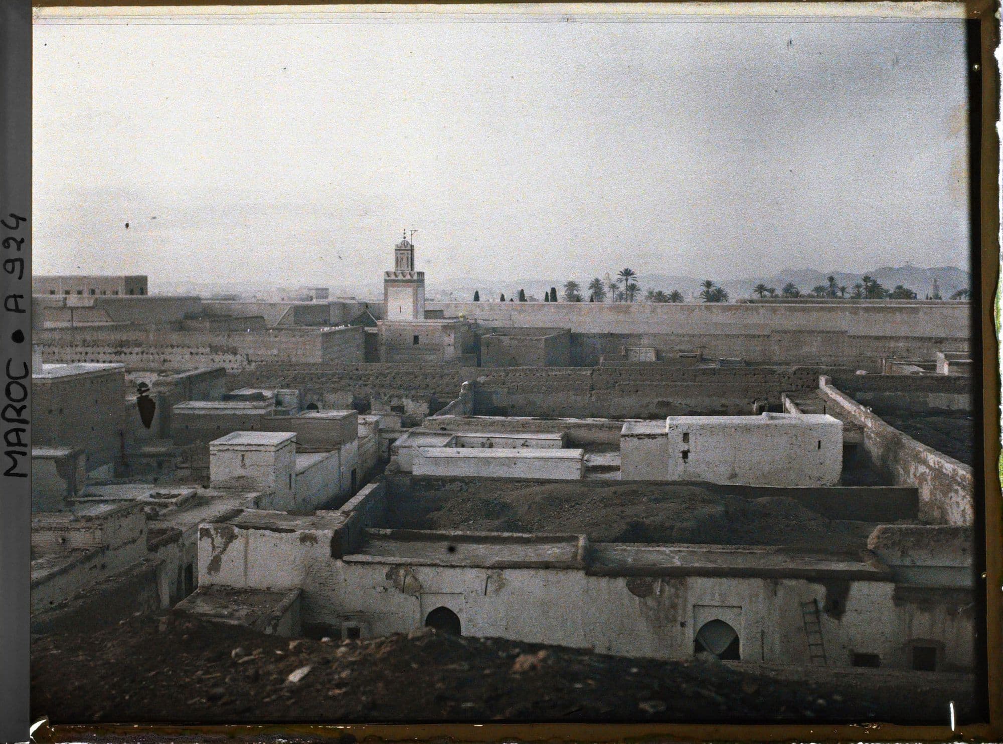 Terrasses et murs blancs d'un quartier, avec un minaret et des palmiers à l'horizon.